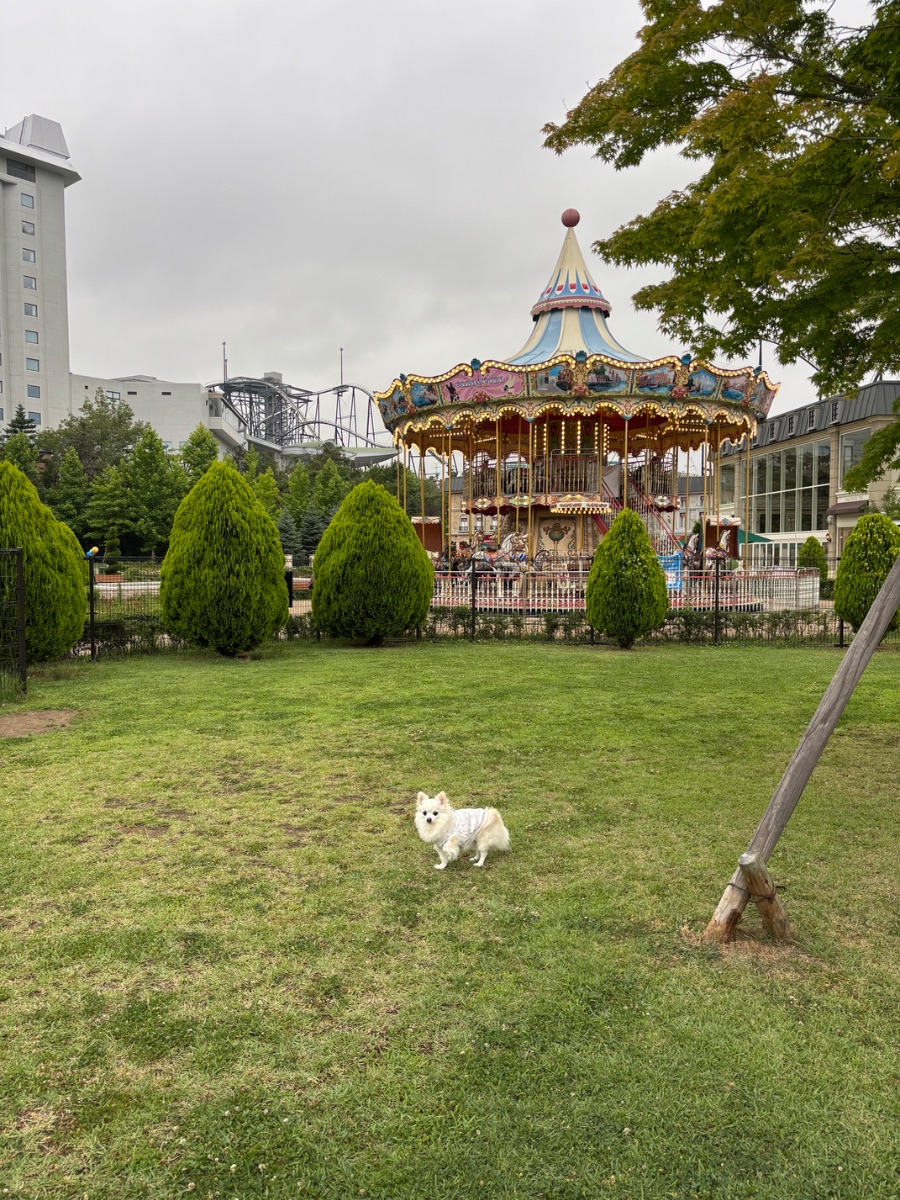 写真 4