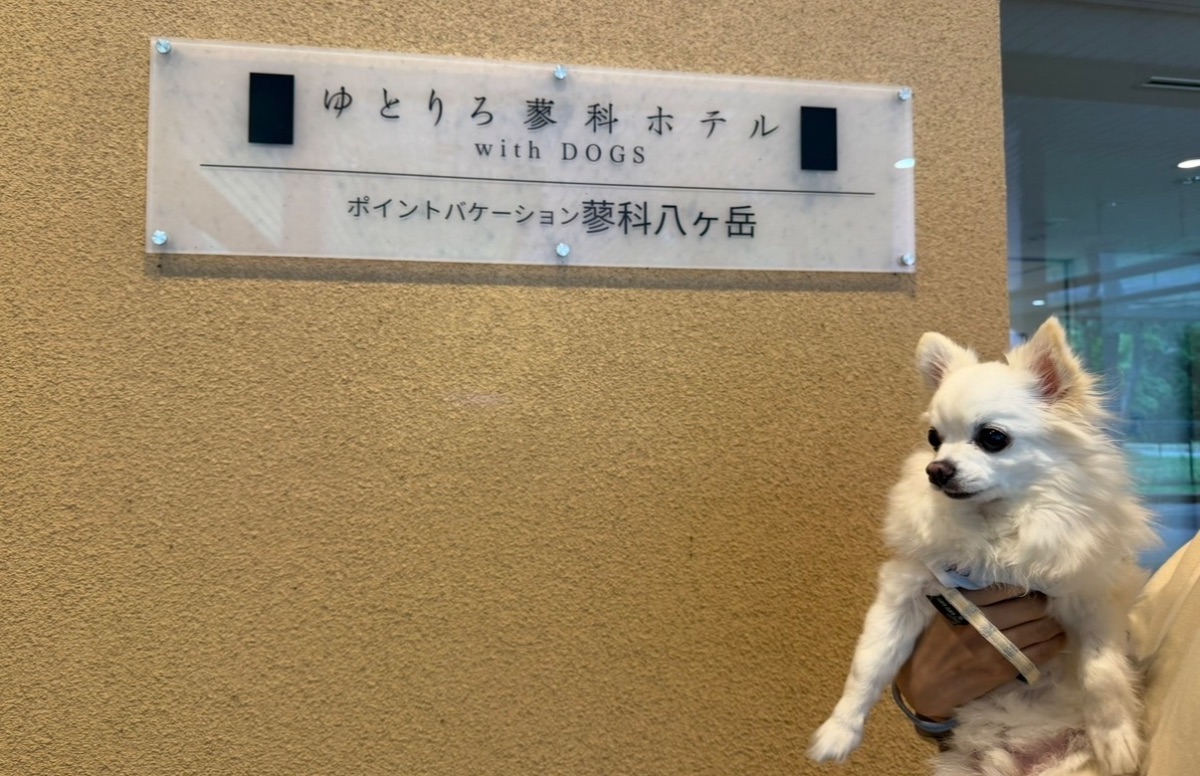 写真 2