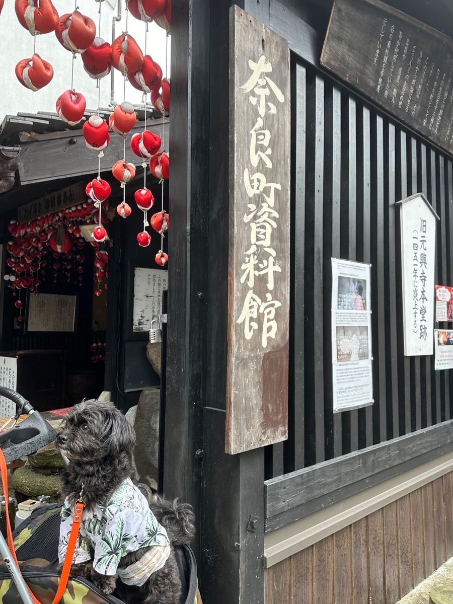 写真 1