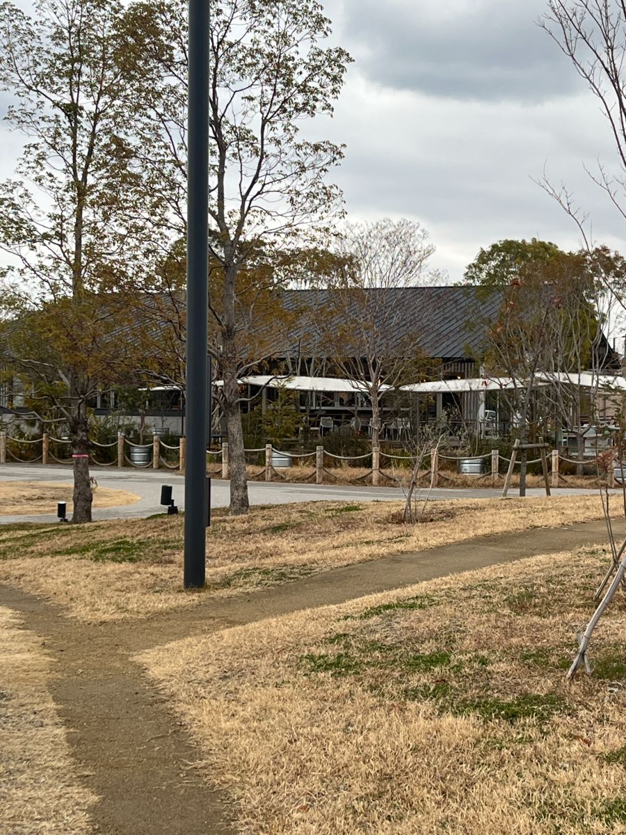 写真 4