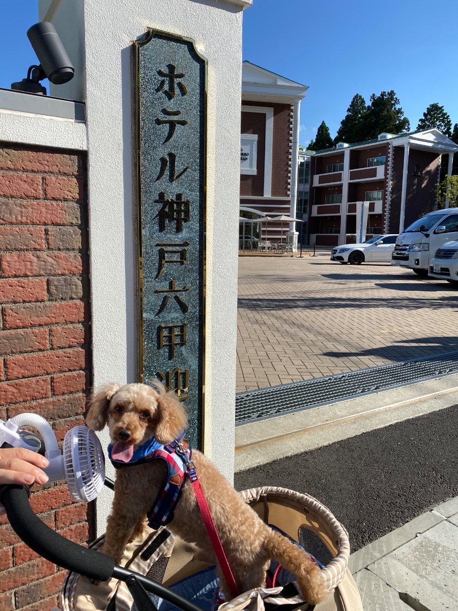 写真 1