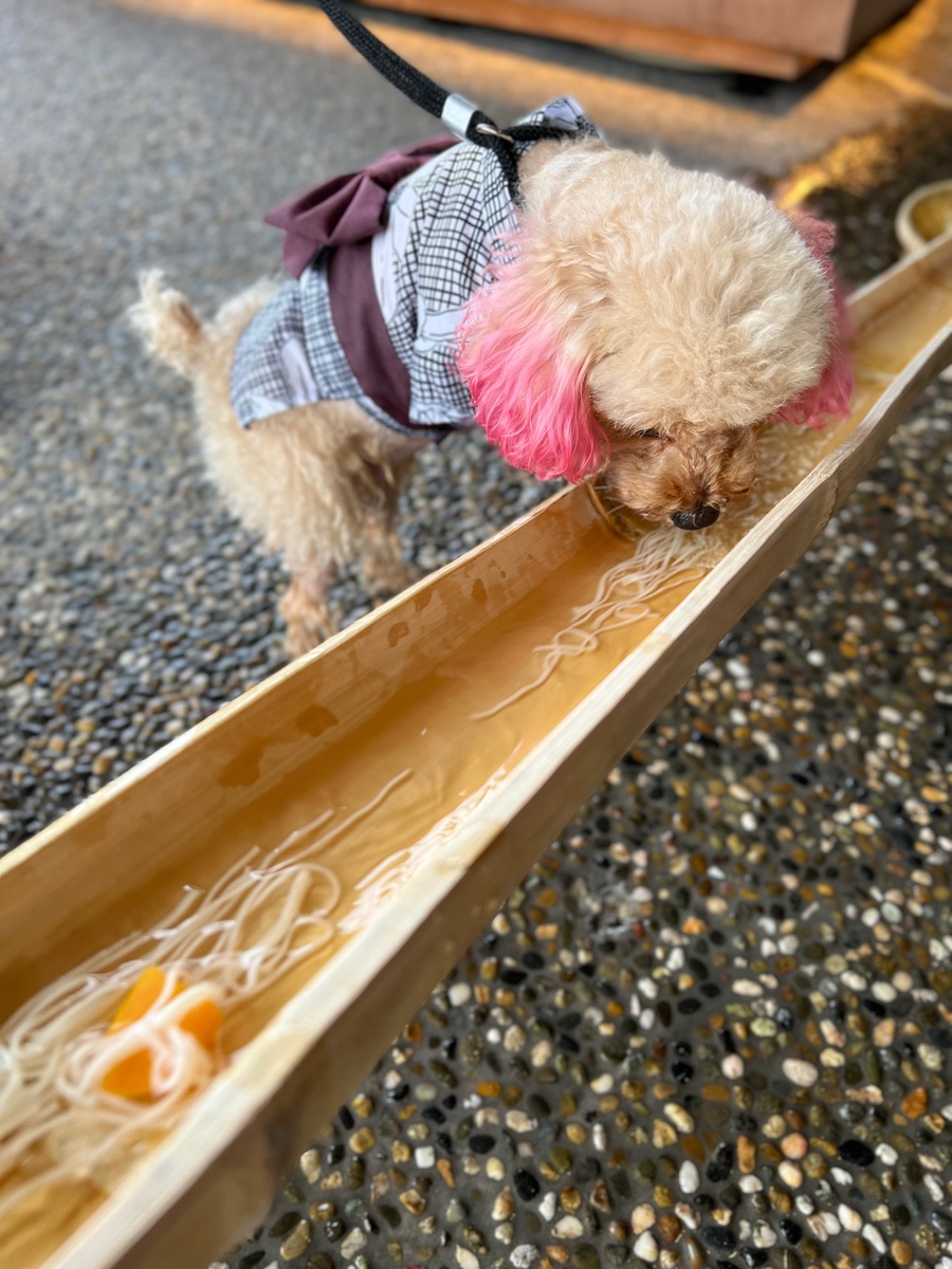 写真 2