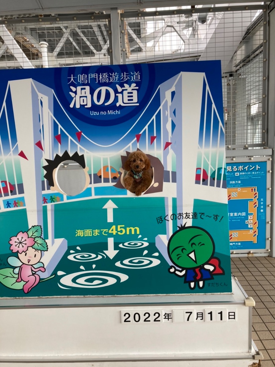 写真 3