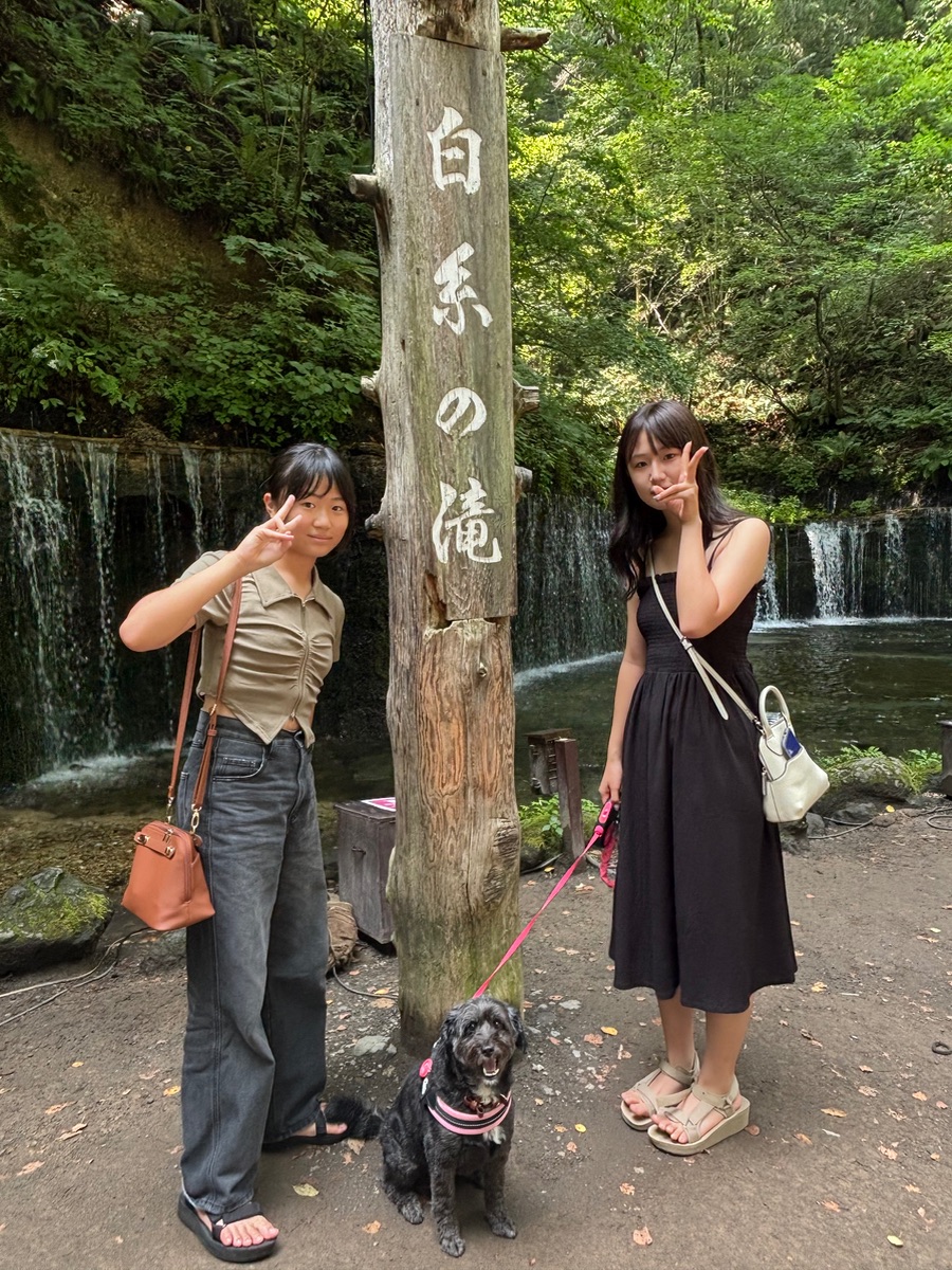 写真 1