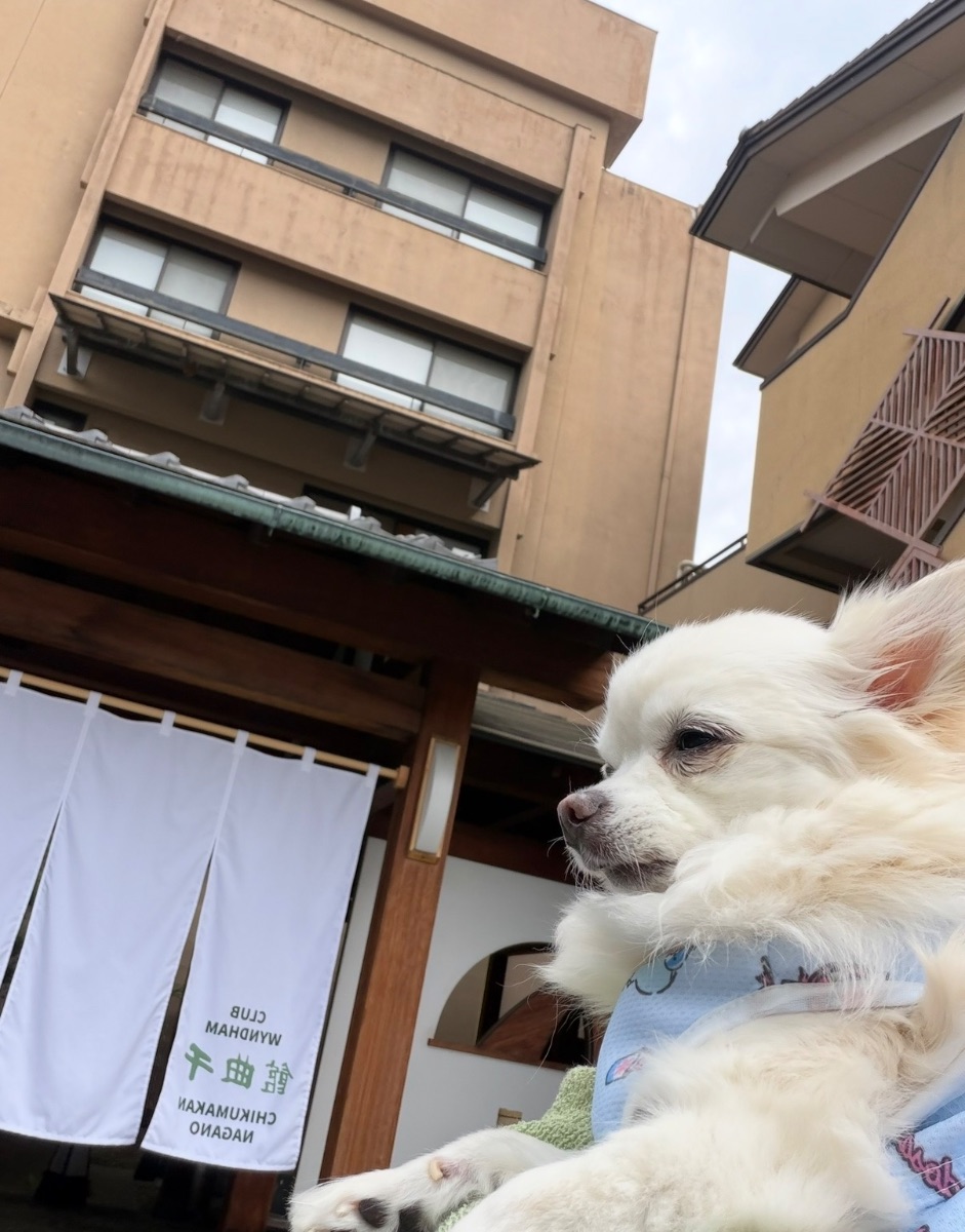 写真 1