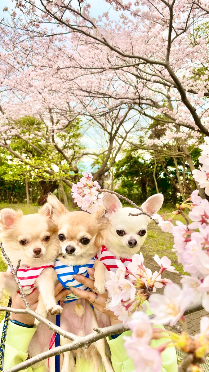 写真 5