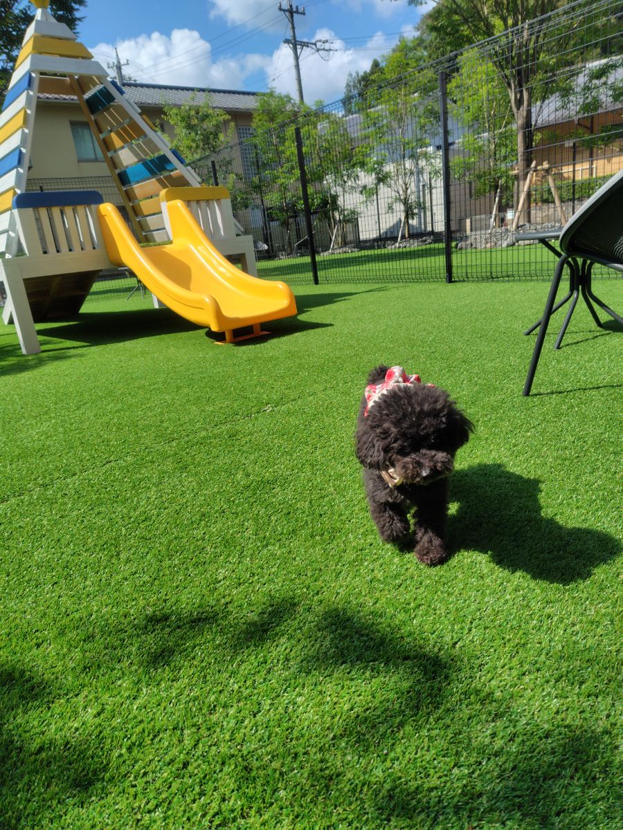 写真 1