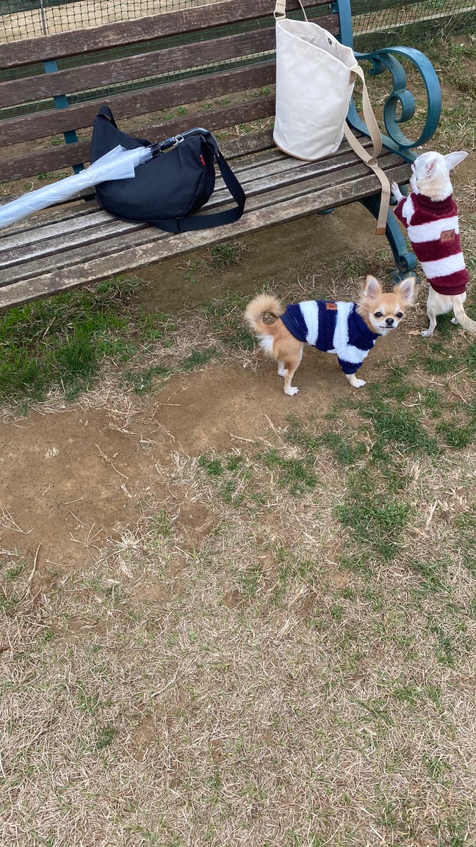 写真 1