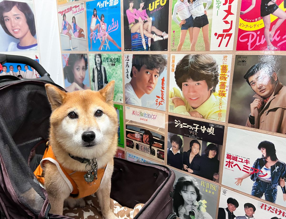 写真 2