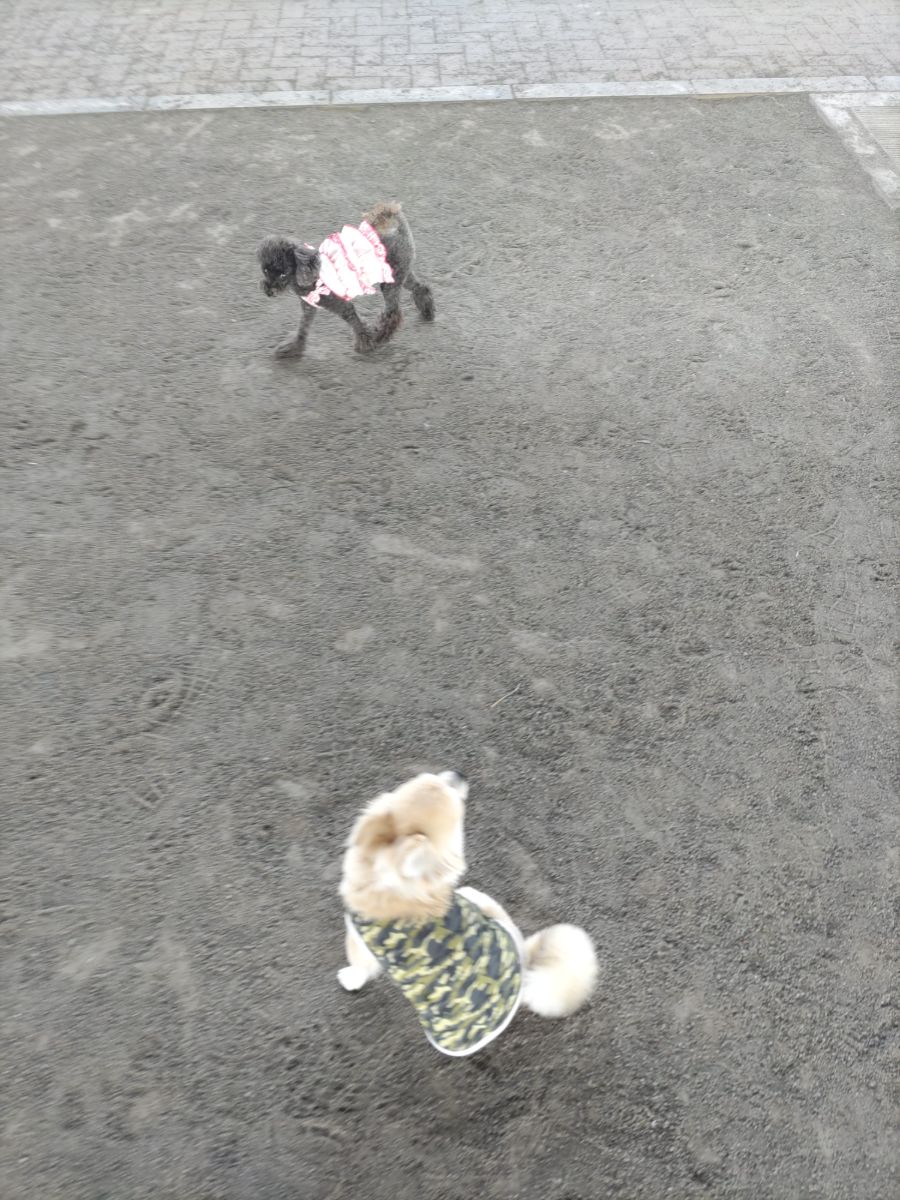 写真 2