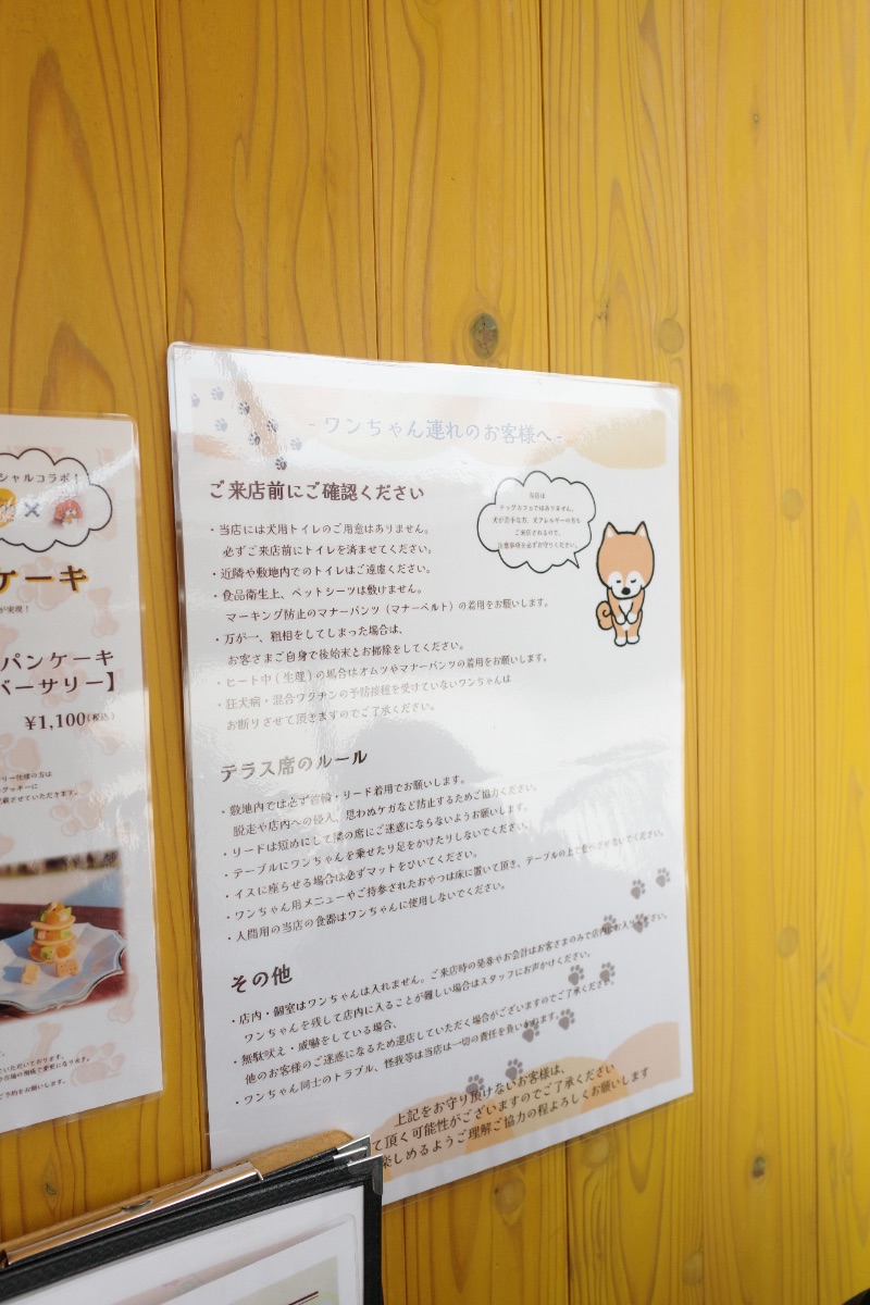 写真 4