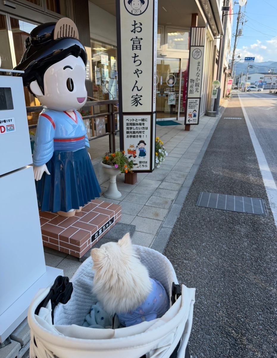 写真 2
