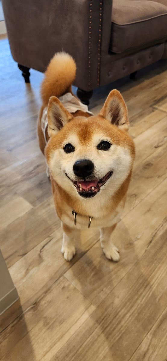 写真 3