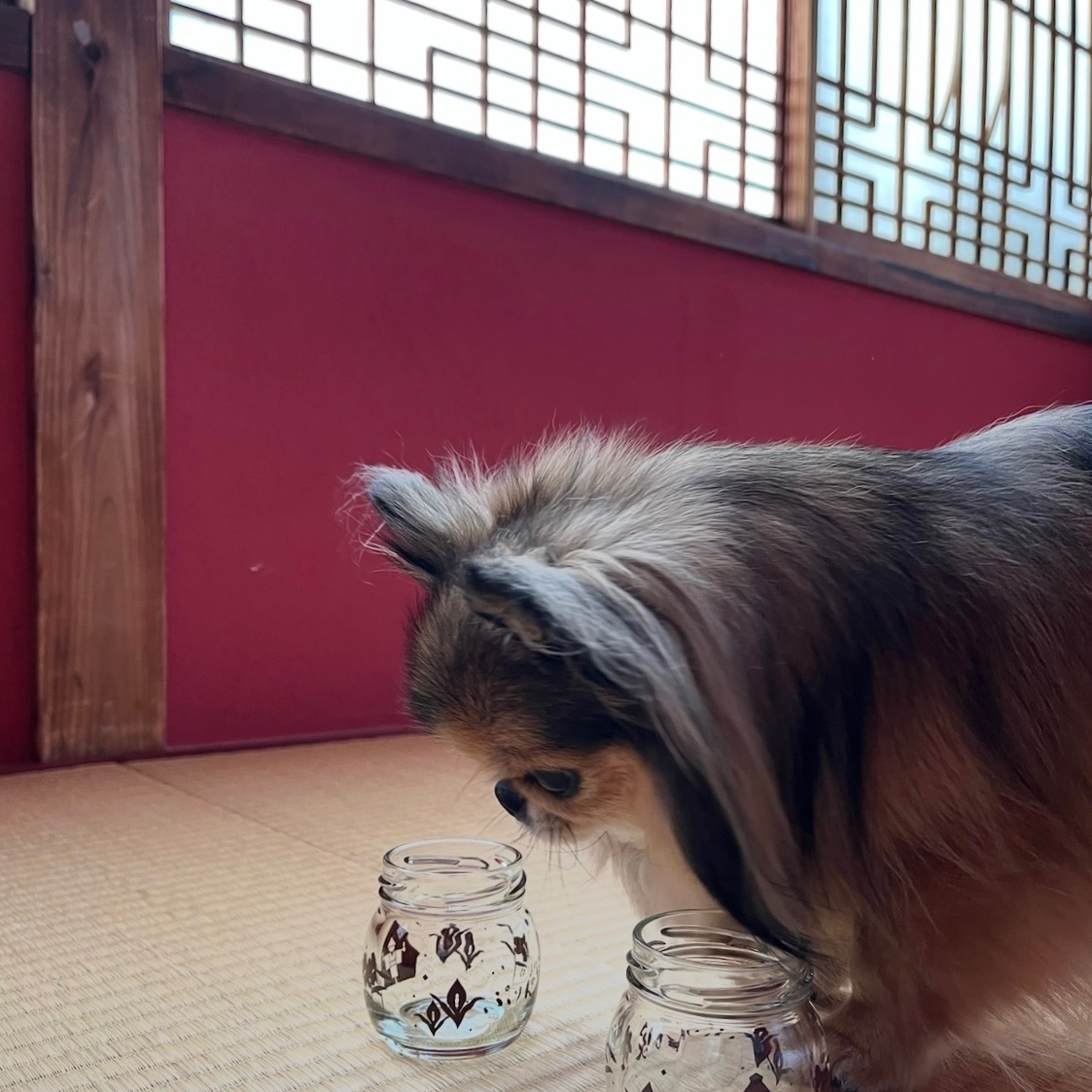 写真 3