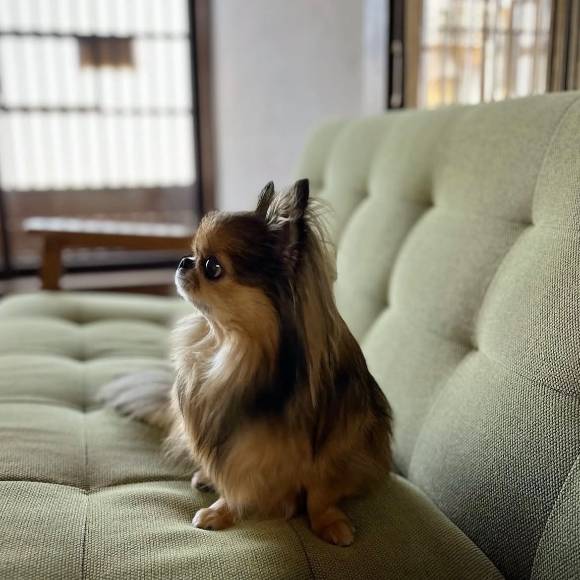 写真 1