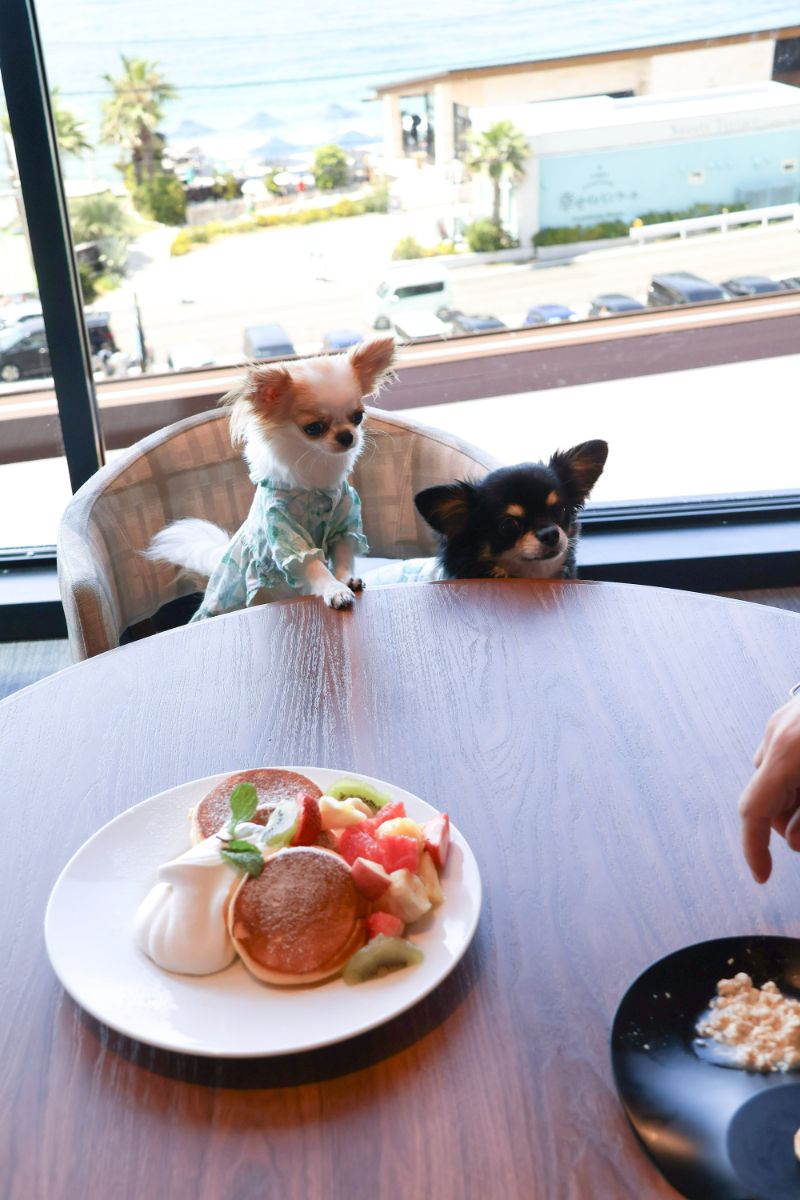 写真 3