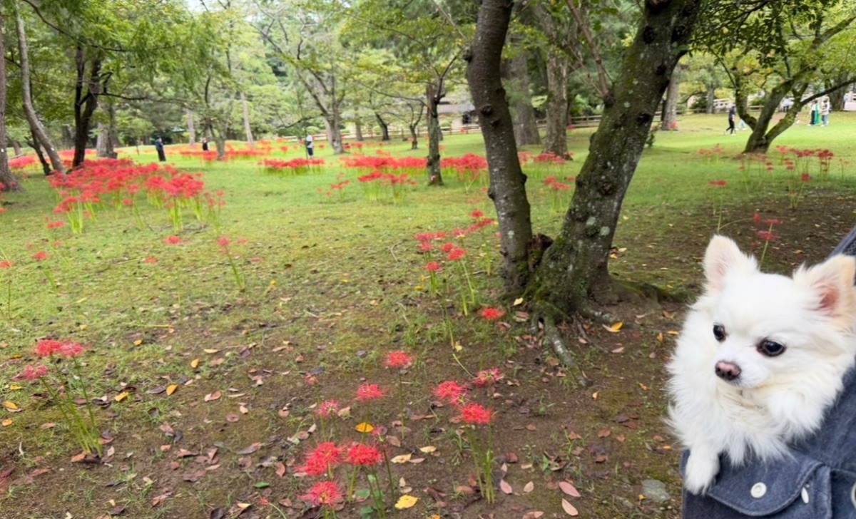 写真 2