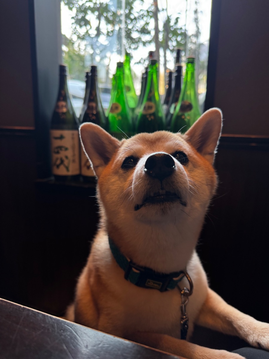 写真 2