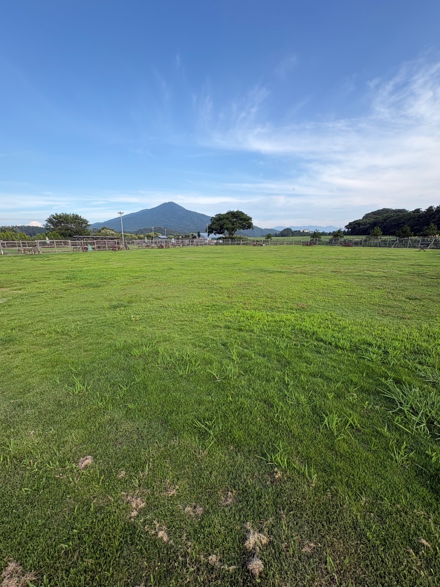 写真 3