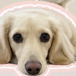 くうのおでかけログのプロフィール画像