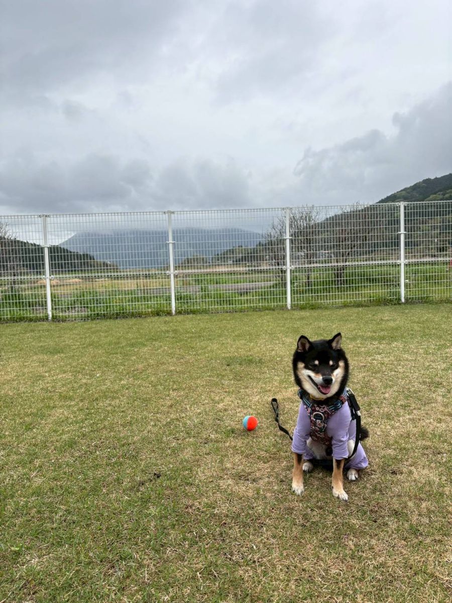 写真 5