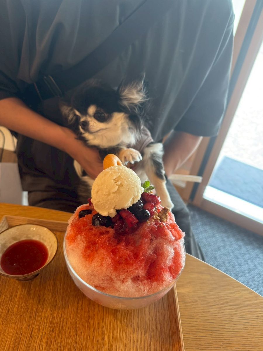 写真 1