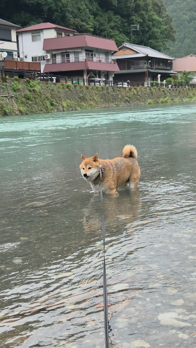 写真 2