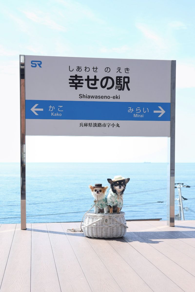 写真 5