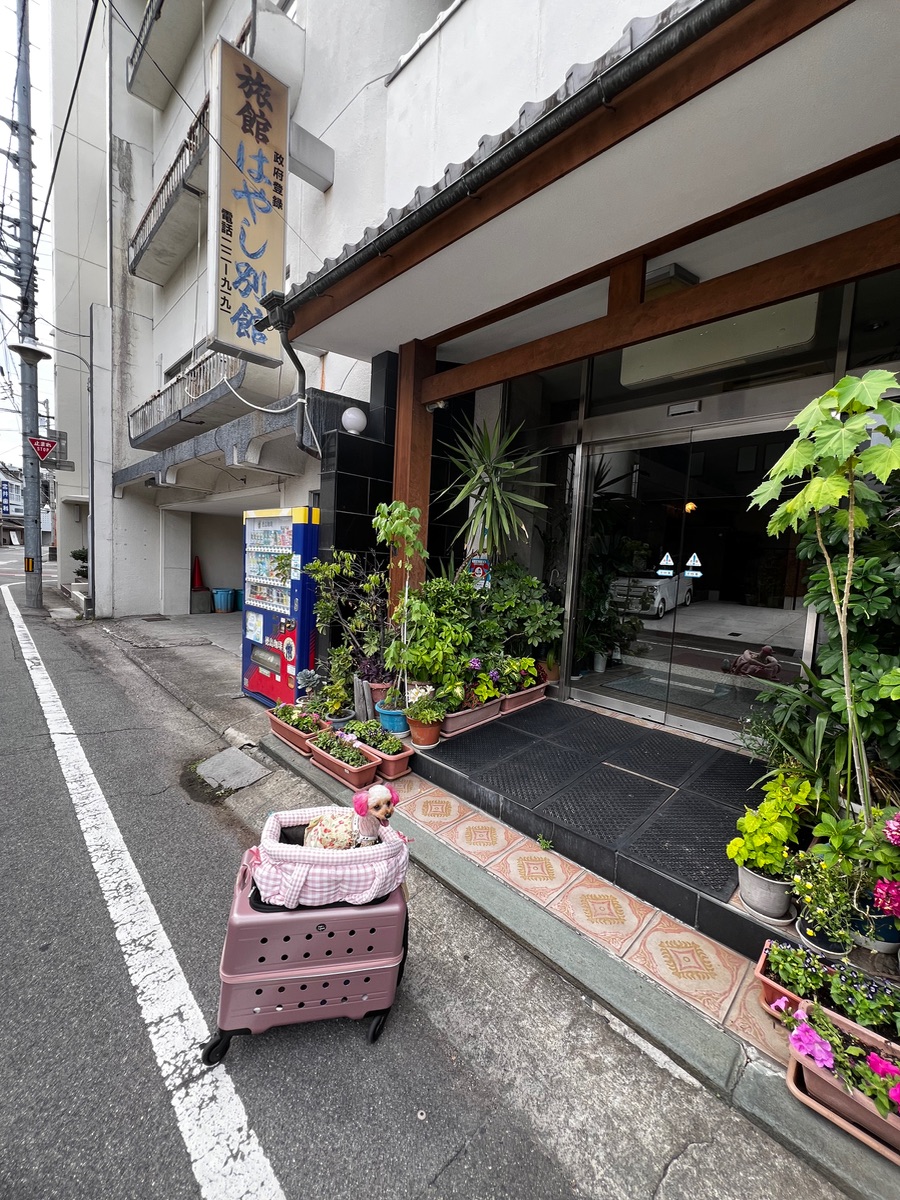 写真 5