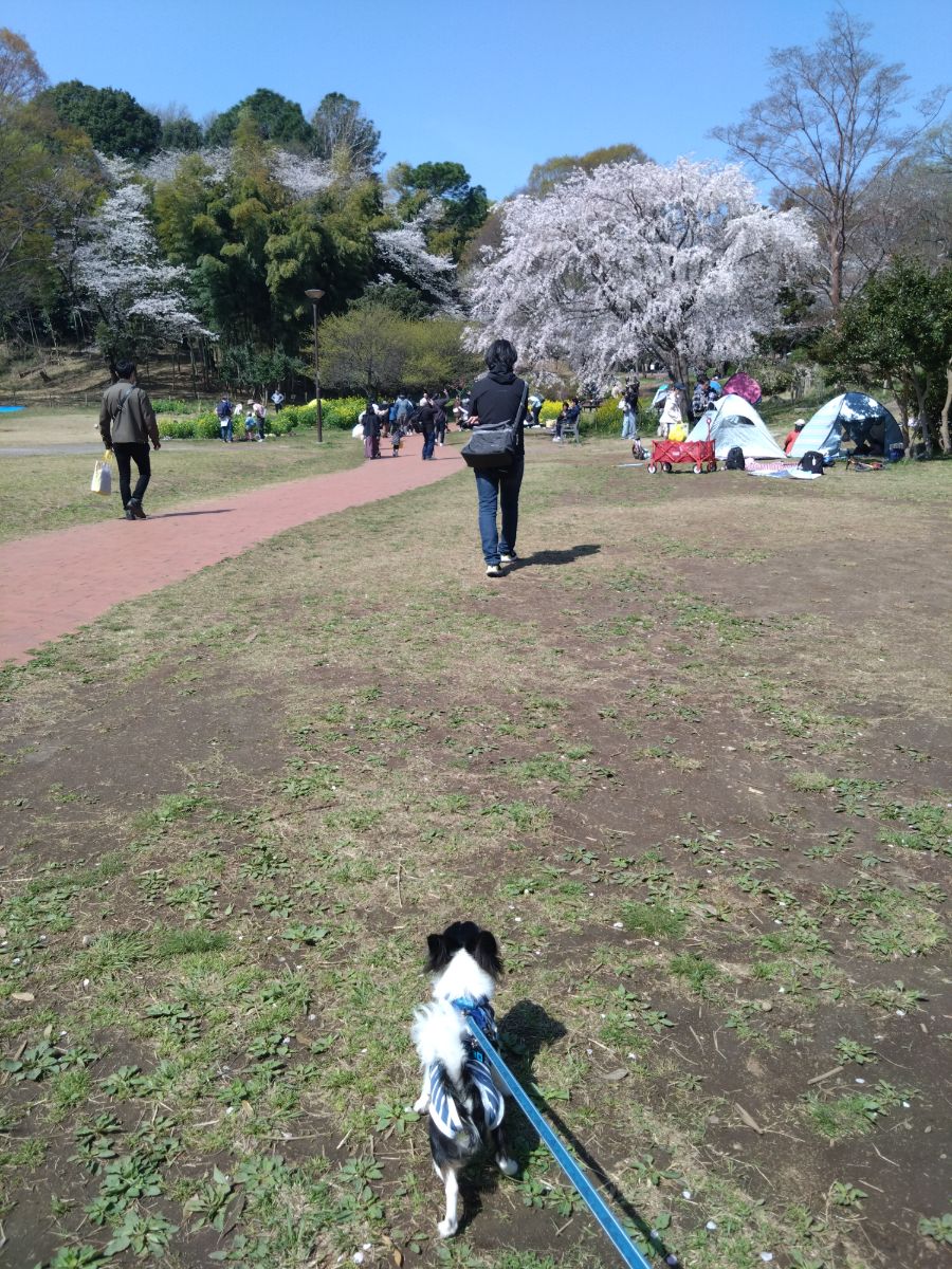 写真 4