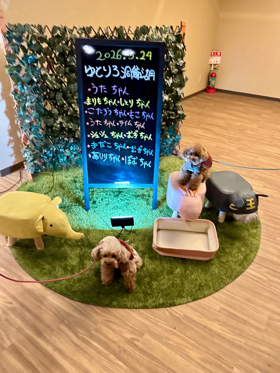 写真 3