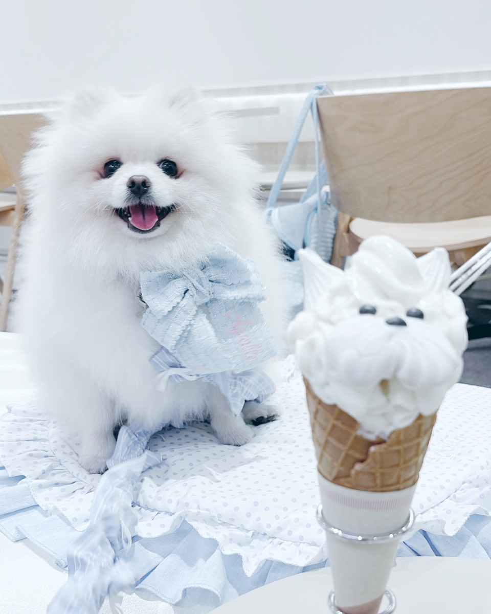 写真 1