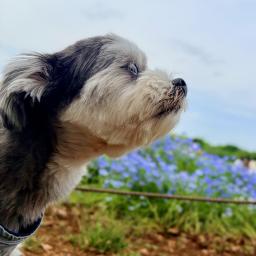 かすくんのプロフィール画像