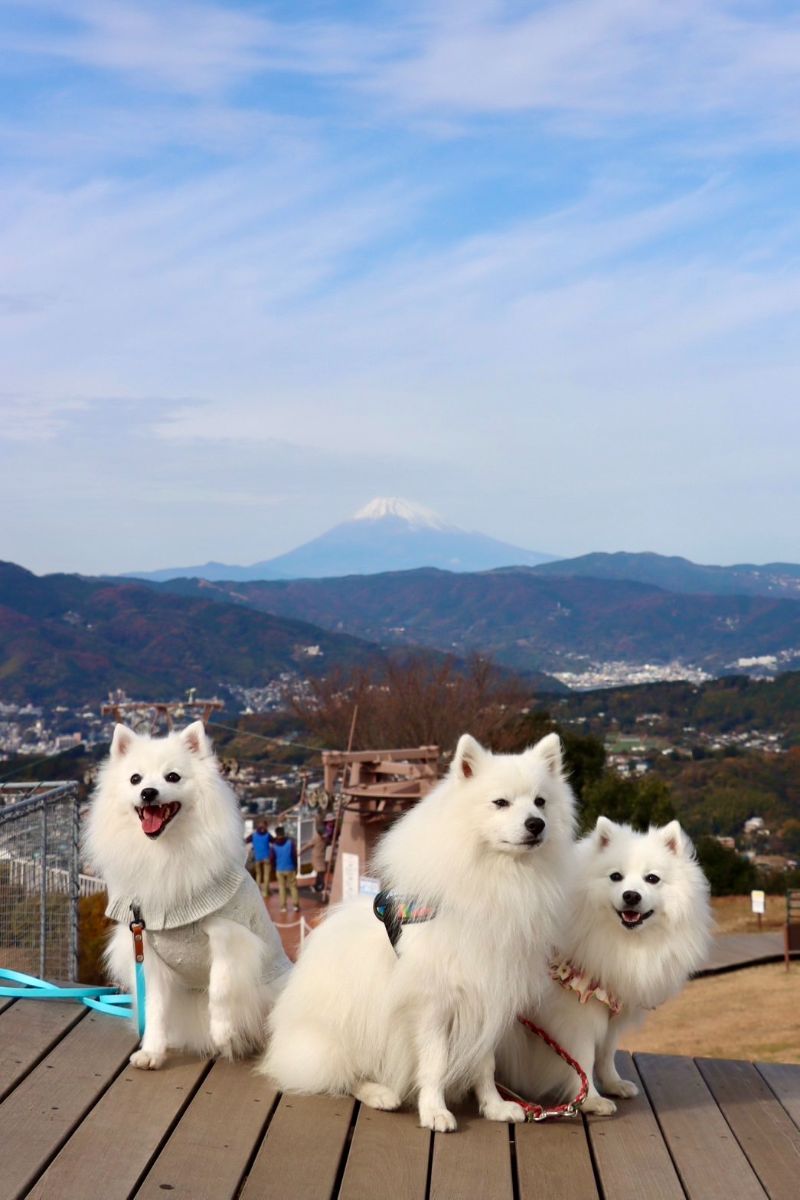 写真 2