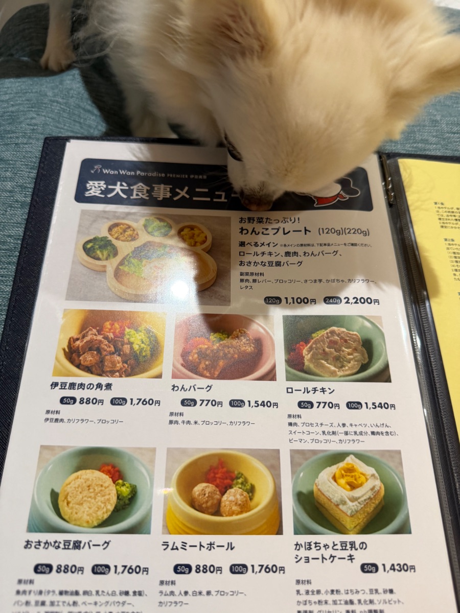 写真 2