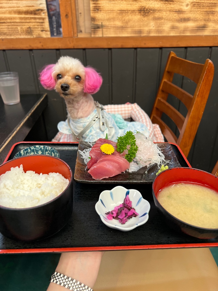 写真 2