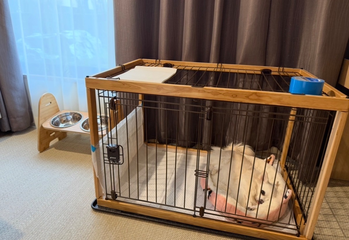 写真 2