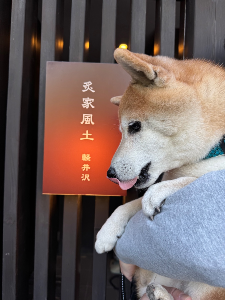 写真 1