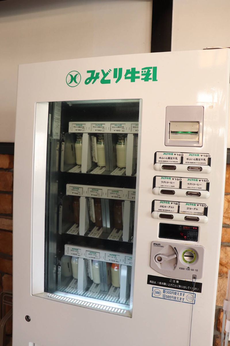 写真 4