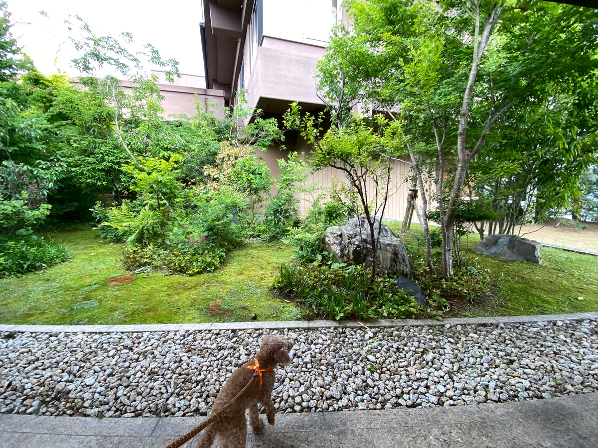 写真 2