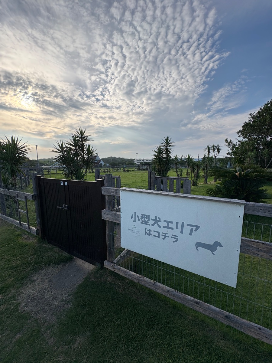 写真 4