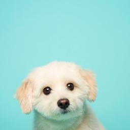 マフママのプロフィール画像