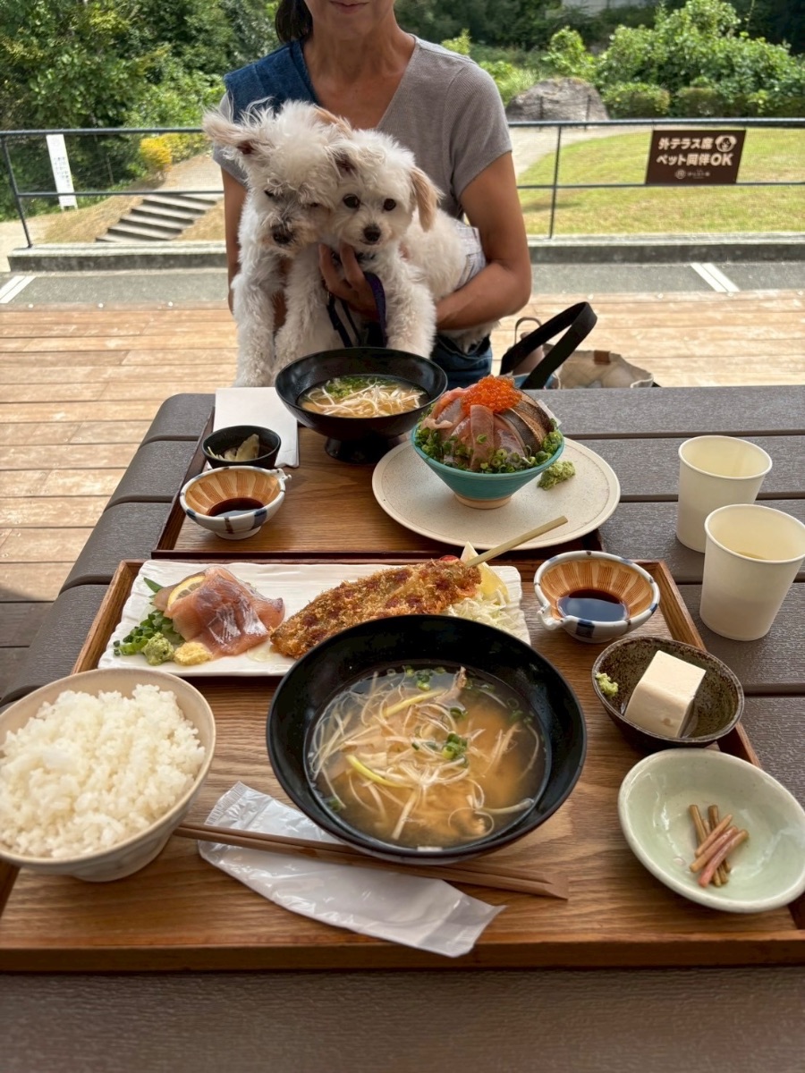 写真 3