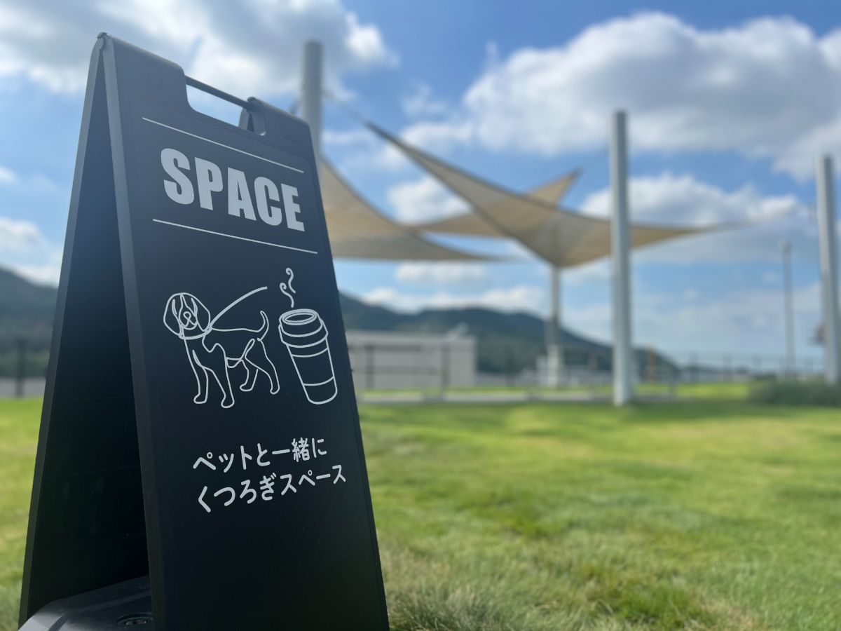 写真 3