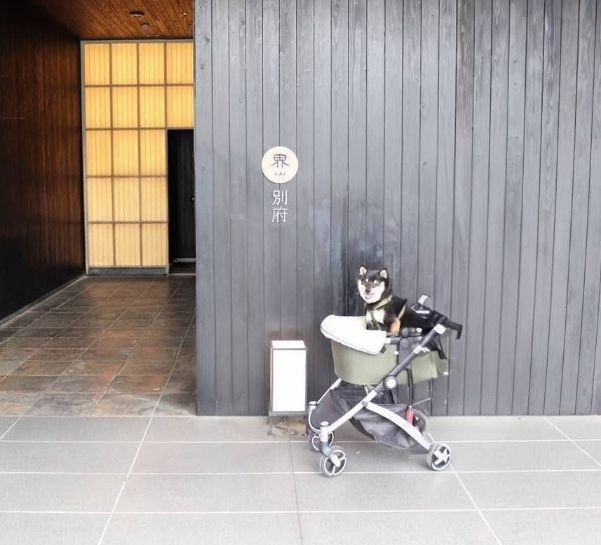 写真 1