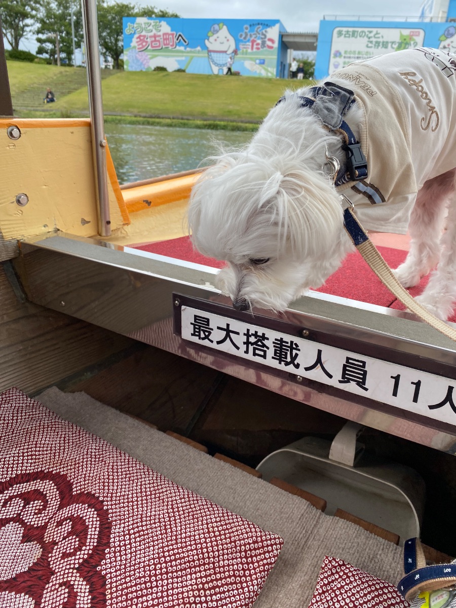 写真 3
