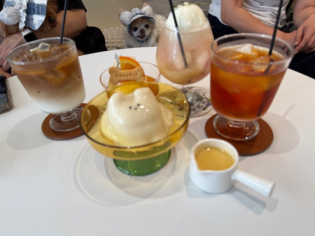 写真 1