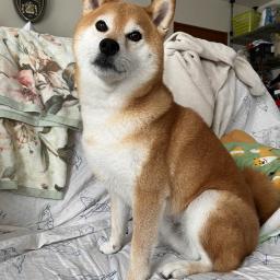 げんのおかんのプロフィール画像