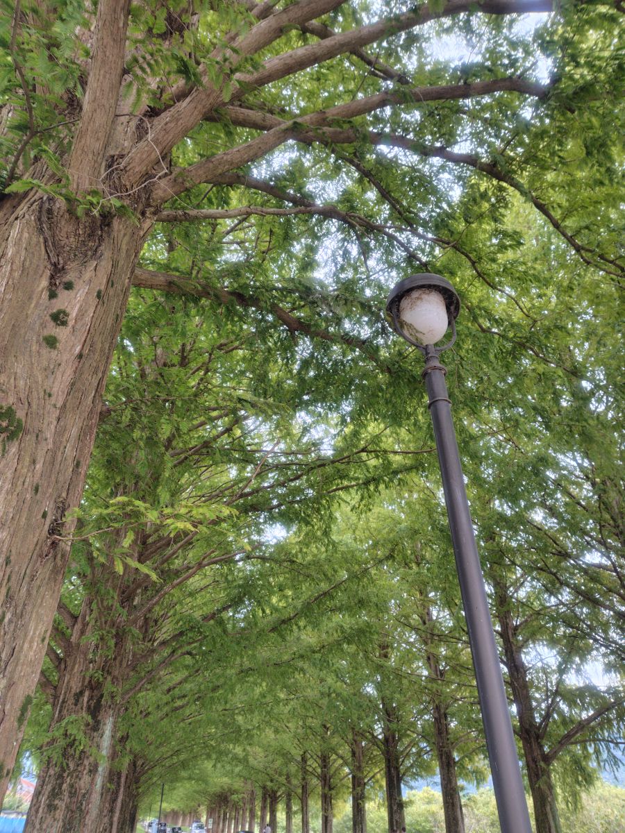 写真 3