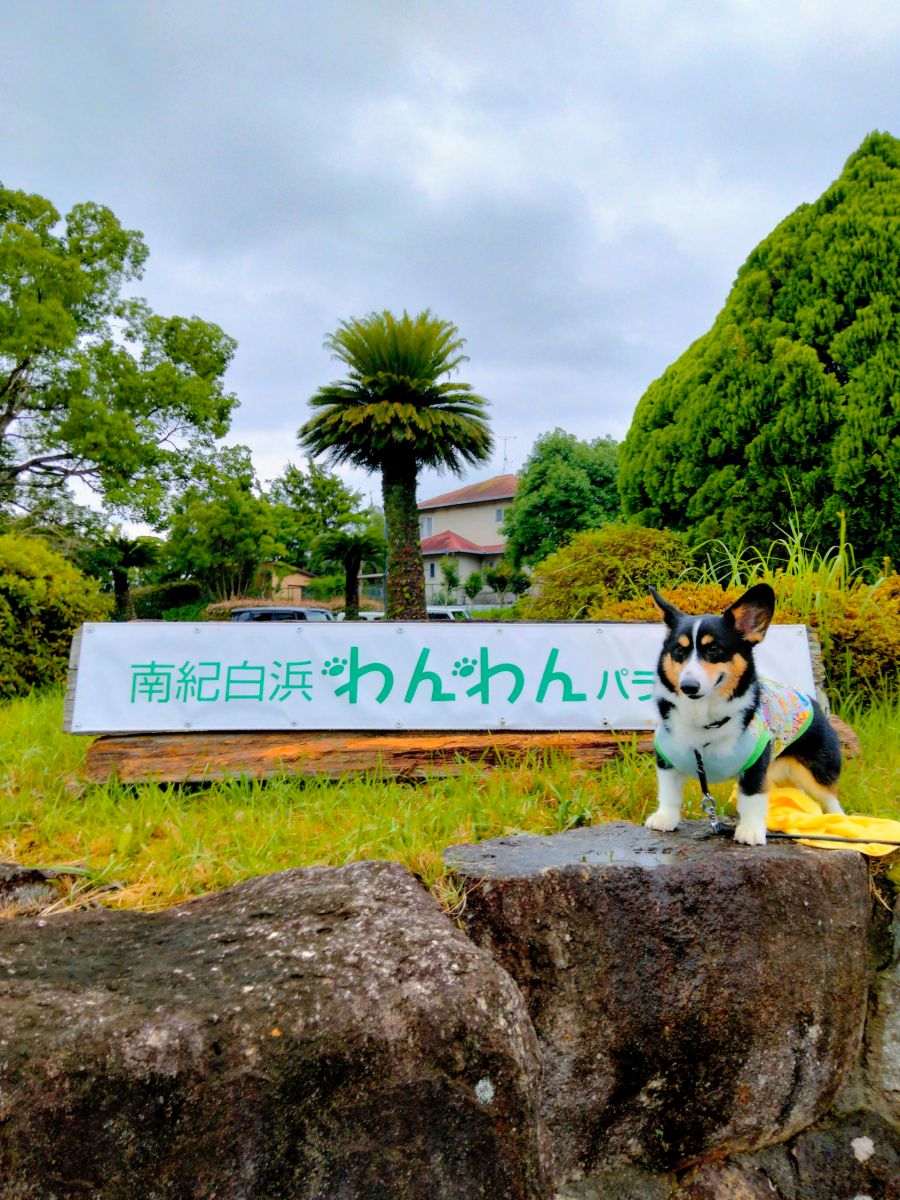 写真 1